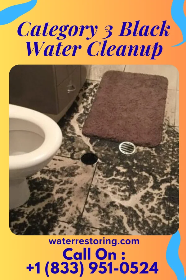Category 3 Black Water Cleanup in La Vergne, TN